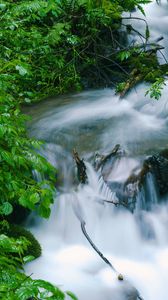 Превью обои водопад, деревья, листья, вода