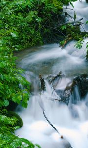 Превью обои водопад, деревья, листья, вода