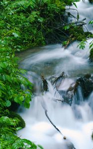 Превью обои водопад, деревья, листья, вода