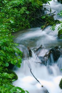 Превью обои водопад, деревья, листья, вода