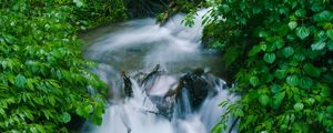 Превью обои водопад, деревья, листья, вода