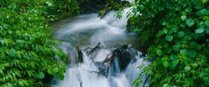 Превью обои водопад, деревья, листья, вода