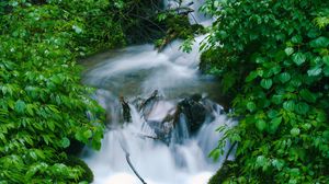 Превью обои водопад, деревья, листья, вода