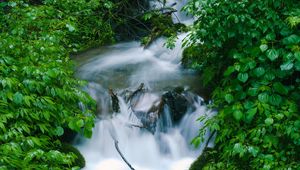 Превью обои водопад, деревья, листья, вода