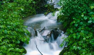 Превью обои водопад, деревья, листья, вода