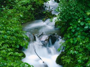 Превью обои водопад, деревья, листья, вода
