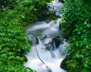 Превью обои водопад, деревья, листья, вода