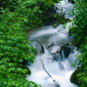 Превью обои водопад, деревья, листья, вода