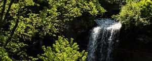 Превью обои водопад, деревья, листья, пейзаж