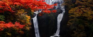 Превью обои водопад, деревья, обрыв, течение, осень