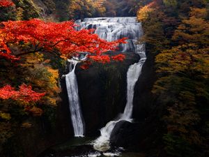Превью обои водопад, деревья, обрыв, течение, осень