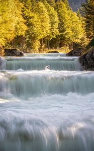 Превью обои водопад, деревья, свет, природа