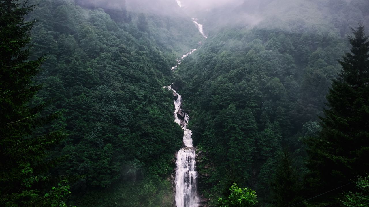Обои водопад, деревья, туман