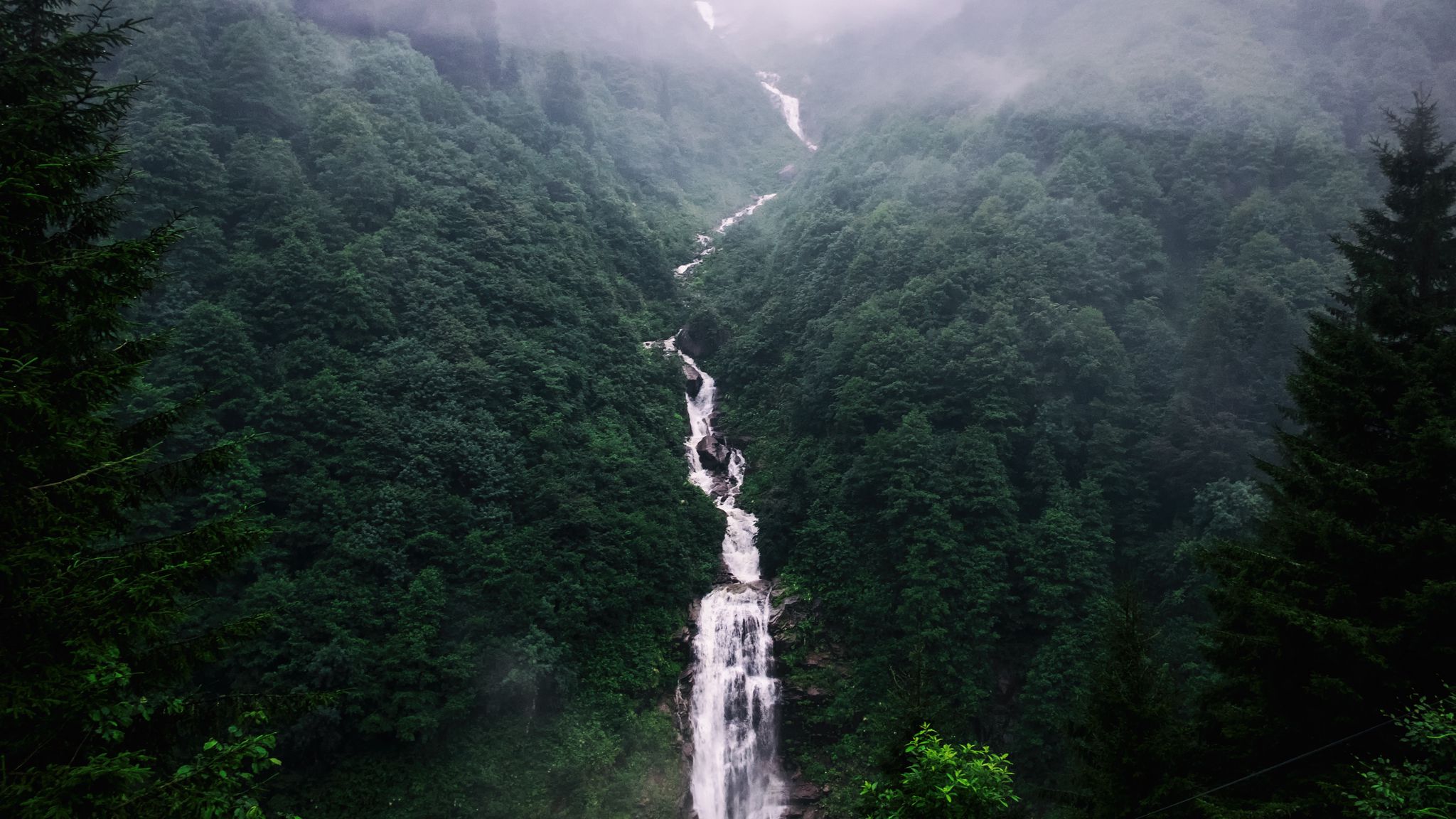 Картинки лес водопад