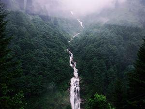 Превью обои водопад, деревья, туман