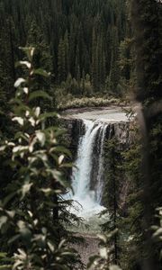 Превью обои водопад, деревья, ветки, течение, обрыв