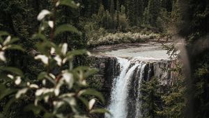 Превью обои водопад, деревья, ветки, течение, обрыв