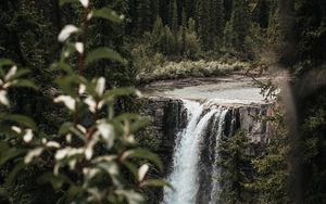 Превью обои водопад, деревья, ветки, течение, обрыв