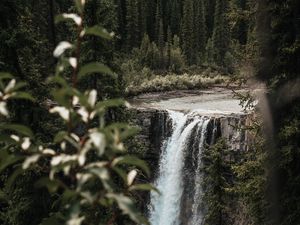 Превью обои водопад, деревья, ветки, течение, обрыв