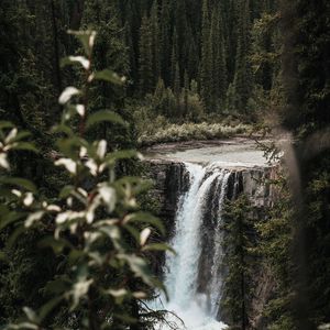 Превью обои водопад, деревья, ветки, течение, обрыв