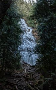 Превью обои водопад, деревья, ветки