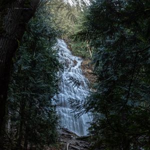 Превью обои водопад, деревья, ветки