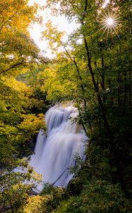 Превью обои водопад, деревья, ветки, лучи, солнце