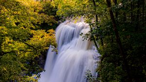 Превью обои водопад, деревья, ветки, лучи, солнце