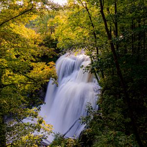 Превью обои водопад, деревья, ветки, лучи, солнце