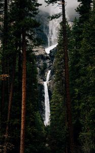 Превью обои водопад, деревья, вода, течение, обрыв
