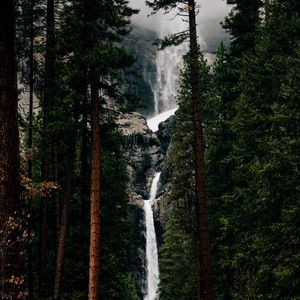 Превью обои водопад, деревья, вода, течение, обрыв