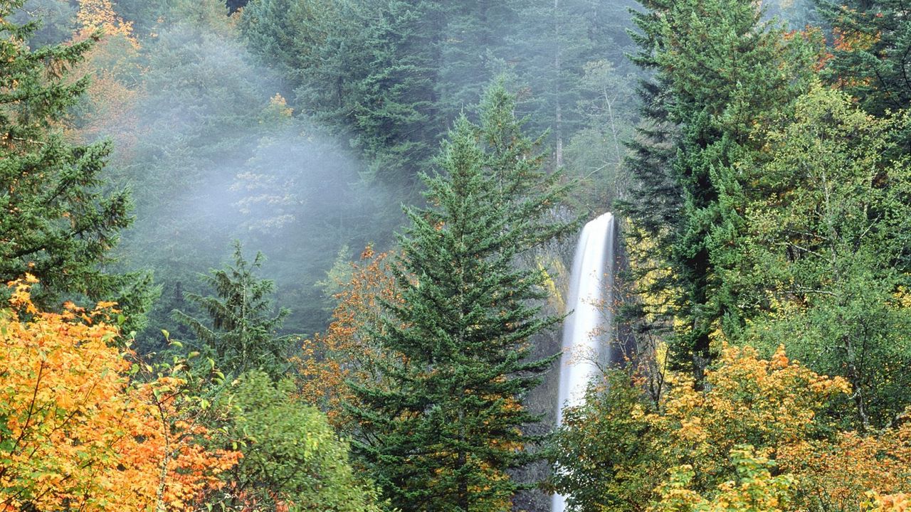 Обои водопад, деревья, зелень, осень