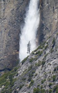 Превью обои водопад, дерево, скала, кусты, обрыв