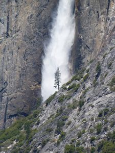 Превью обои водопад, дерево, скала, кусты, обрыв