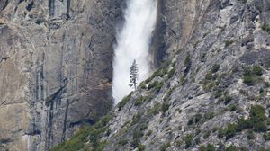 Превью обои водопад, дерево, скала, кусты, обрыв