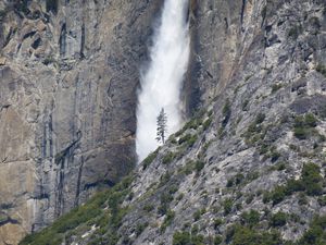 Превью обои водопад, дерево, скала, кусты, обрыв