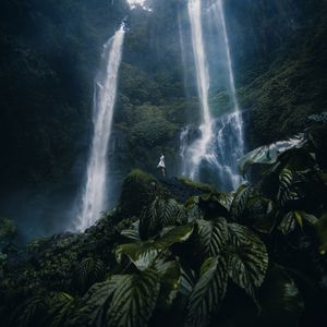 Превью обои водопад, девушка, одиночество, листья, растения