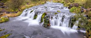 Превью обои водопад, длинная выдержка, деревья, пейзаж