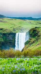 Превью обои водопад, долина, цветы, трава, природа