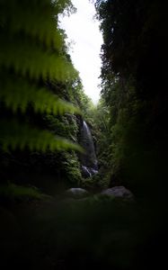 Превью обои водопад, джунгли, темный, растительность, природа