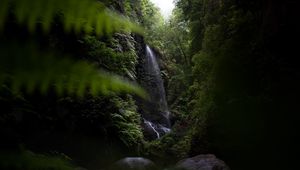 Превью обои водопад, джунгли, темный, растительность, природа