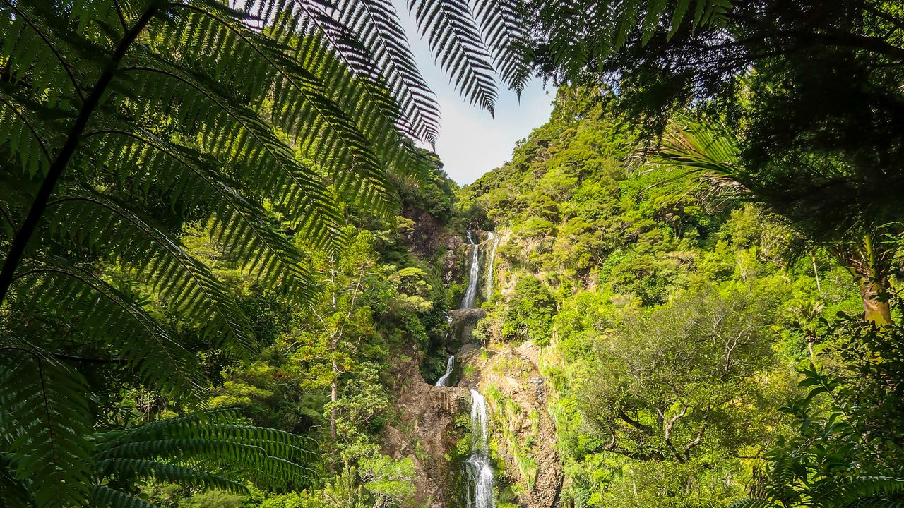 Обои водопад, джунгли, тропики, деревья, кусты