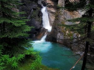 Превью обои водопад, ели, скалы, мох, шум