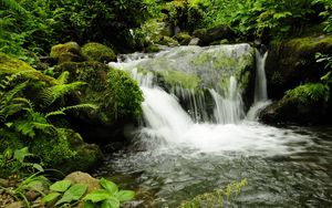 Превью обои водопад, грузия, парк, mtirala adjara, природа