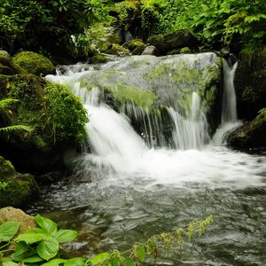 Превью обои водопад, грузия, парк, mtirala adjara, природа
