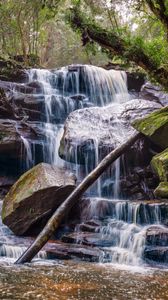 Превью обои водопад, камни, деревья, мох, пейзаж