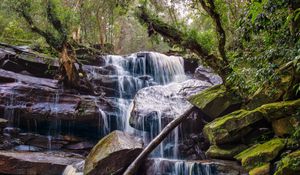 Превью обои водопад, камни, деревья, мох, пейзаж