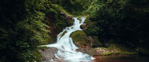 Превью обои водопад, камни, кусты, ветки, листья, пейзаж