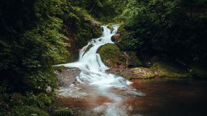 Превью обои водопад, камни, кусты, ветки, листья, пейзаж