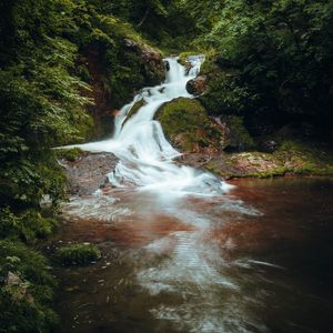 Превью обои водопад, камни, кусты, ветки, листья, пейзаж